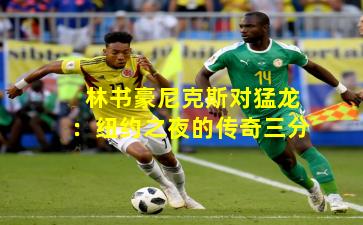 林书豪尼克斯对猛龙：纽约之夜的传奇三分