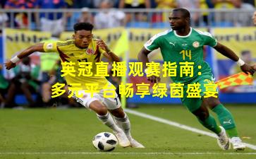 英冠直播观赛指南：多元平台畅享绿茵盛宴