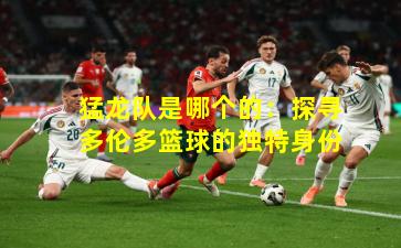 猛龙队是哪个的：探寻多伦多篮球的独特身份