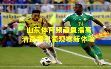 山东体育频道直播高清直播引领观赛新体验