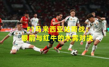 F1马来西亚站雨战：银箭与红牛的水雾对决