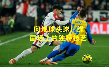 向地球头球：绿茵场上的独特技艺