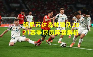 明尼苏达森林狼队2021赛季球员阵容解析