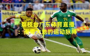 荔枝台广东体育直播：南粤大地的运动脉搏