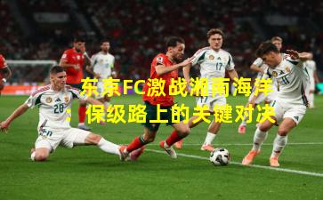 东京FC激战湘南海洋：保级路上的关键对决