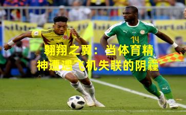 翱翔之翼：当体育精神遭遇飞机失联的阴霾